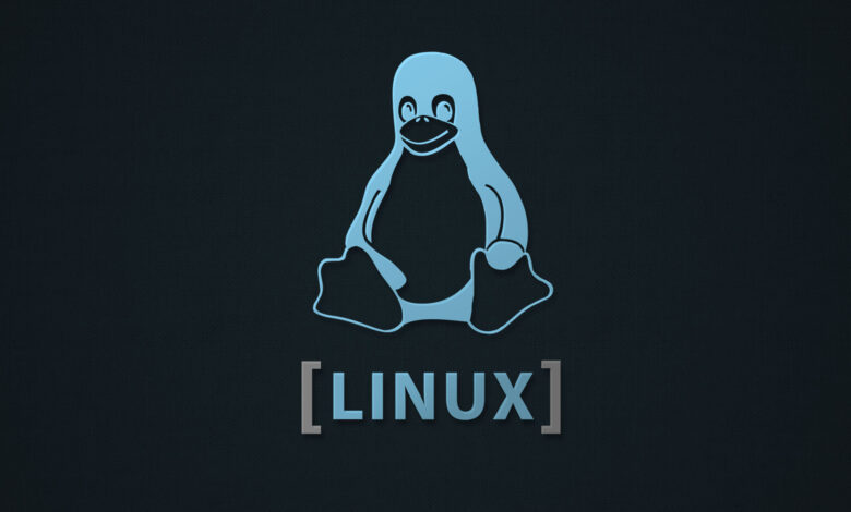 linux kernel 6